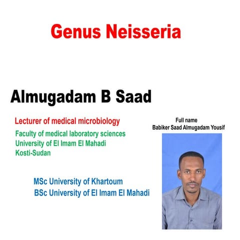 Genus neisseria 2017