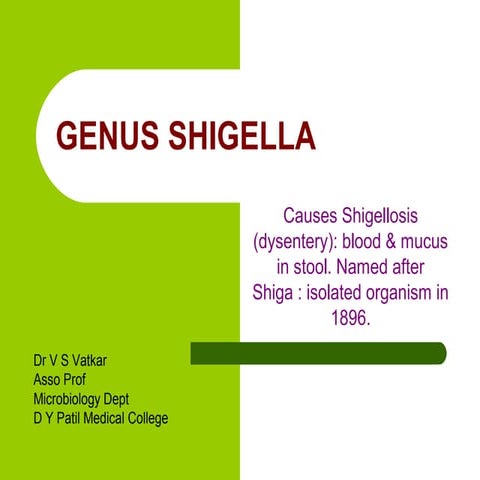 Genus shigella