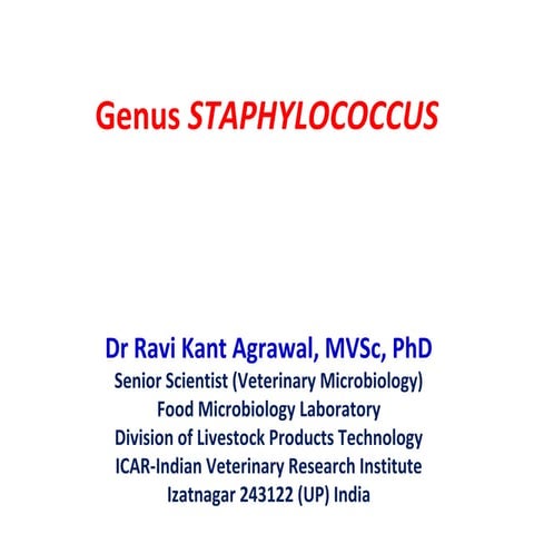Genus staphylococcus