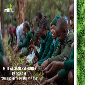 THE MITI SCHOOLS PROGRAMME: Greening Kenya one tree at the time