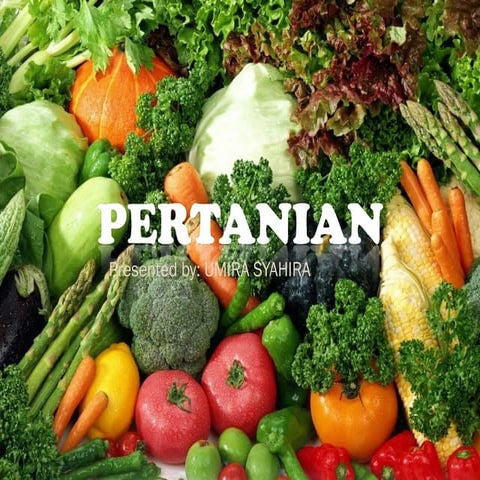 Pengaruh cuaca dan iklim  terhadap aktiviti ekonomi