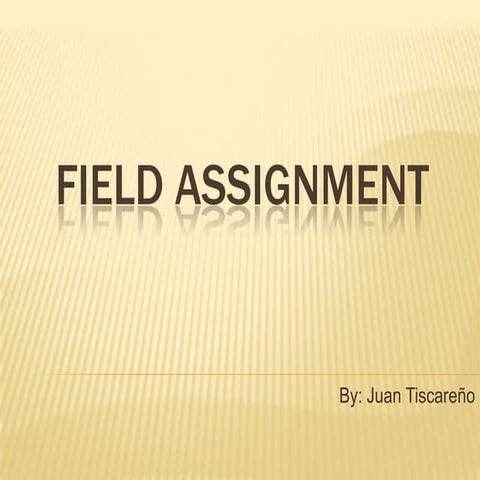 Geo 1 field assignment