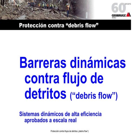 Geobrugg 3 debris_flo