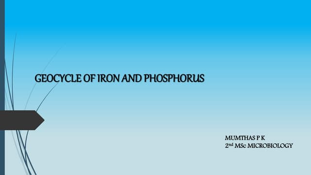 Geocycle iron and phosphorus