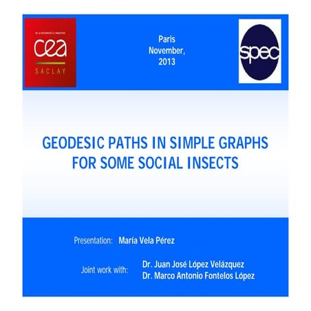 Geodesic path in social graph for insects.pdf