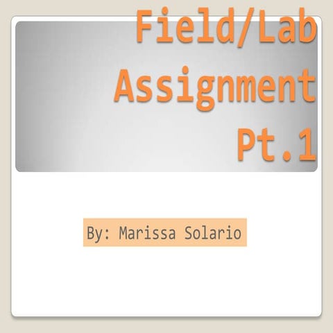 Geology Field/Lab Assignment Pt. 1