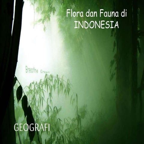Persebaran Fauna dan Flora di Indonesia