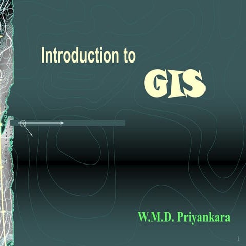 Geographic Information System for Engineering Surveyors.pdf