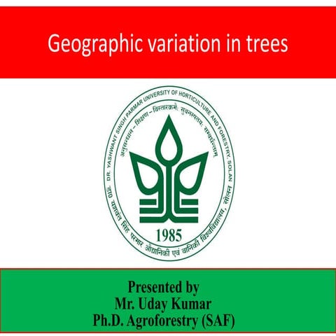 Geographic variation in forest trees