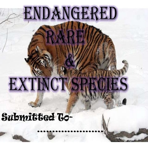 Endangered ,Rare & Extinct Species