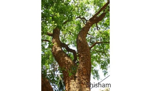 PowerPoint Presentation+.ppt