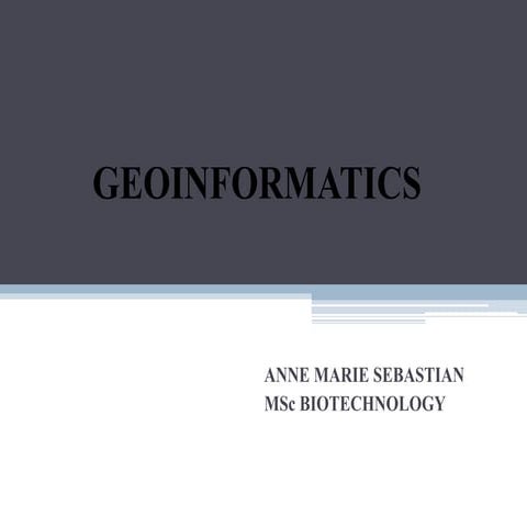 Geoinformatics (1)