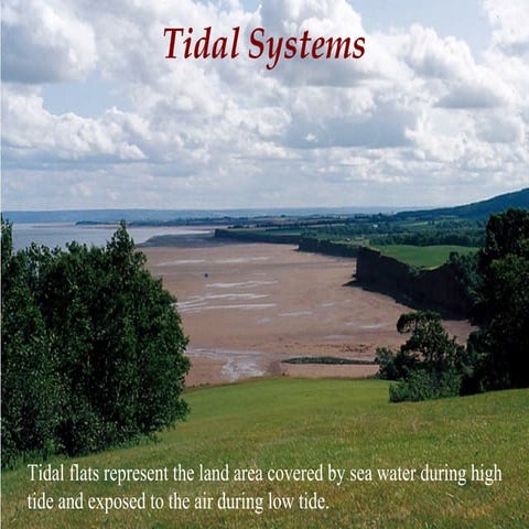 Tidal Systems
