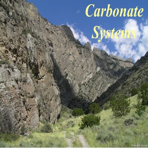 Carbonate Depositional Systems