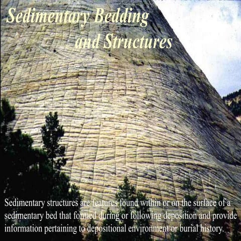 Introduction to Sedimentary Structures - Part 1