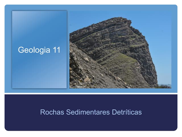 Geologia 11   rochas sedimentares  ...