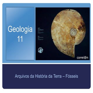 Geologia 11   rochas sedimentares  ...