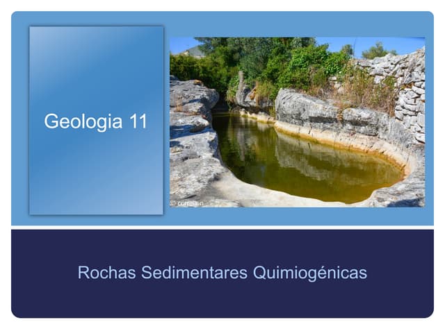Geologia 11   rochas sedimentares  ...