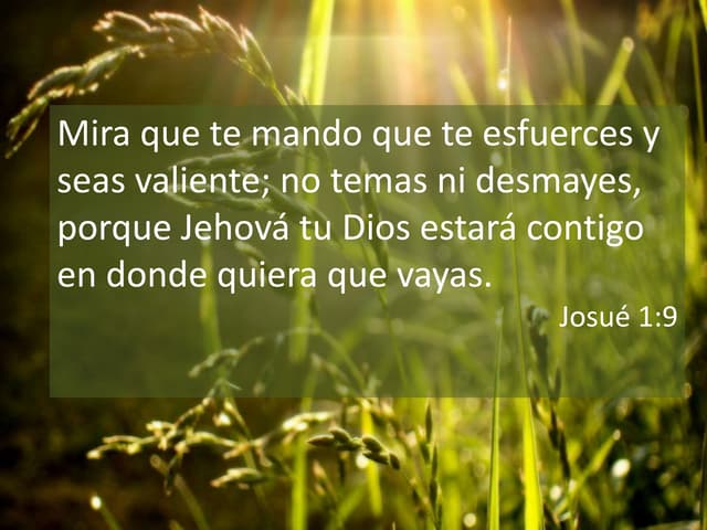 Geologia de la tierra