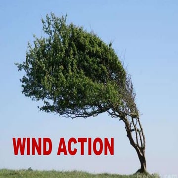Geological action of wind