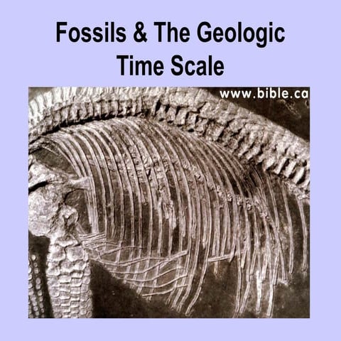 Understanding the Geologic Periods of the Earth