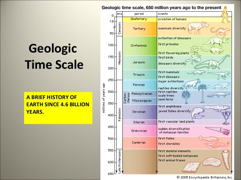 Dinosaur Time Periods Chart