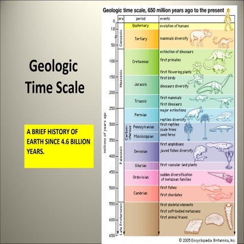 geologictimescale-100620233836-phpapp01-161007091843 (1).pdf