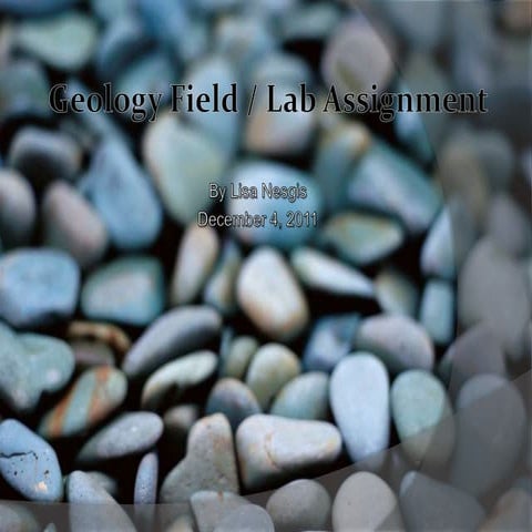 Geology field assignment