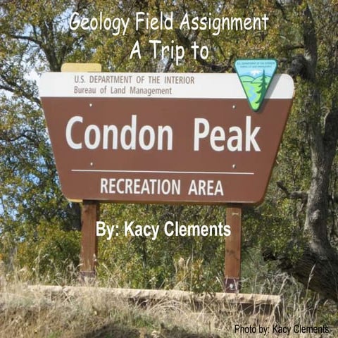 Geology Assignment - Condon Peak