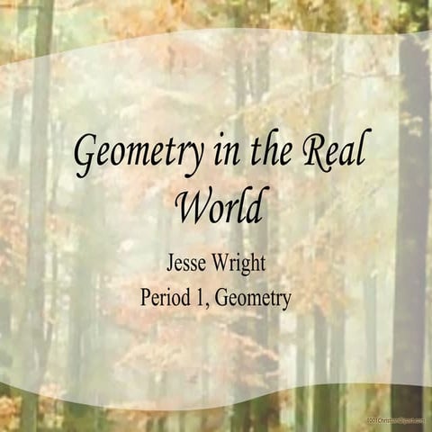 Geometry In The Real World