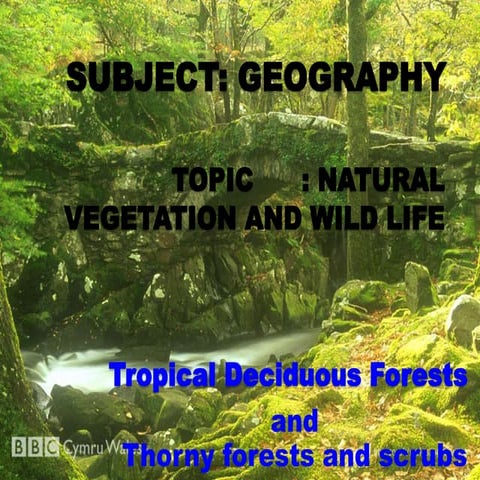 Natural vegetation and wild life