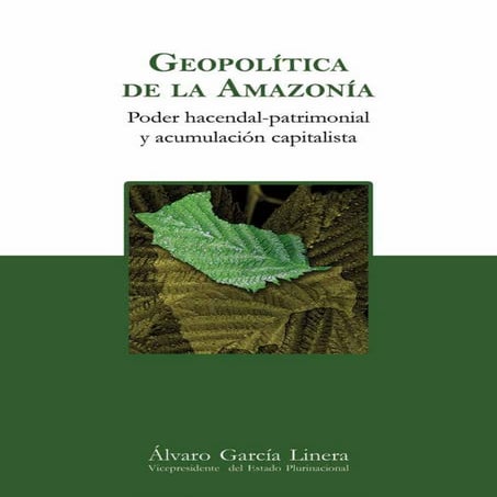 Geopolitica de la_amazonia