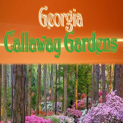 Georgia Callaway Gardens. 