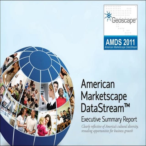 Geoscape American Marketscape Datastream 2011 Executive Summary | PDF