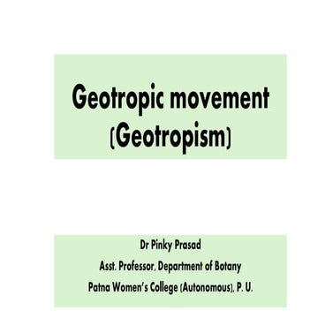 Understanding Geotropic Movement: Mechanisms and Importance in Plant ...