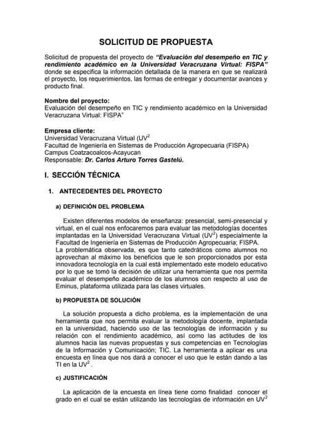 Solicitud De Propuesta Online 06 2010