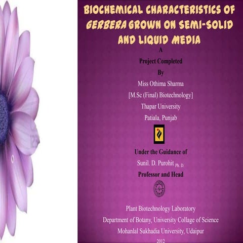 Comparative Studies on Growth & Biochemical Characteristics of Gerbera Grown on Semi-Solid and Liquid Media
