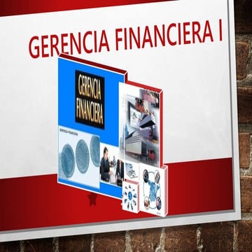 Gerencia fiananciera-expo-eli-usp (1)