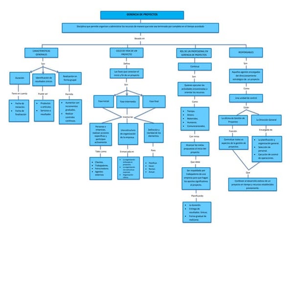 Mapa Conceptual Gerencia de proyectos