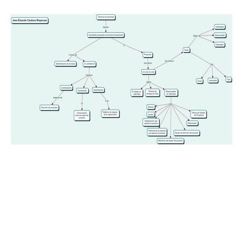 Gerencia de Proyectos