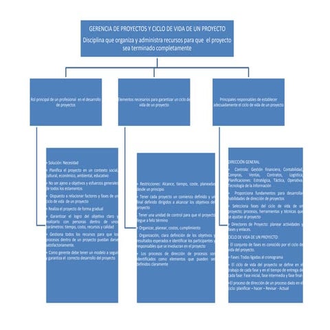 Gerencia de Proyectos y Ciclo de Vida