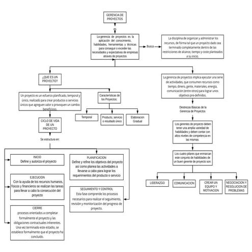 Gerencia de proyecto y ciclo de vida