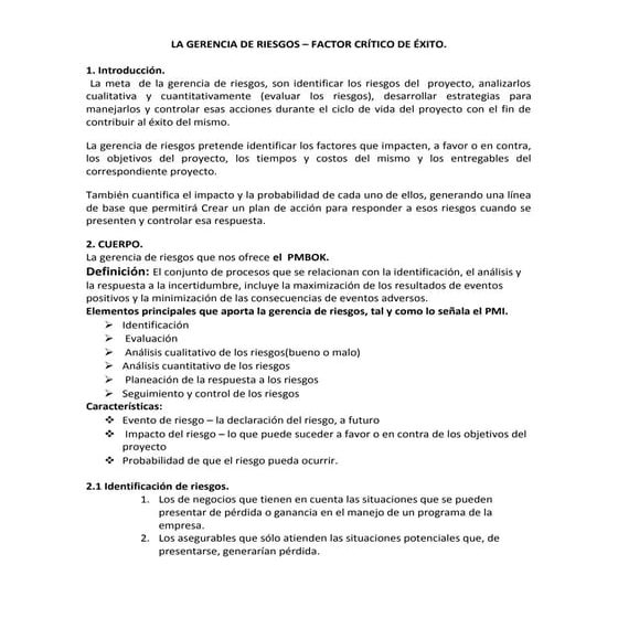 Gerencia de riesgos resumen