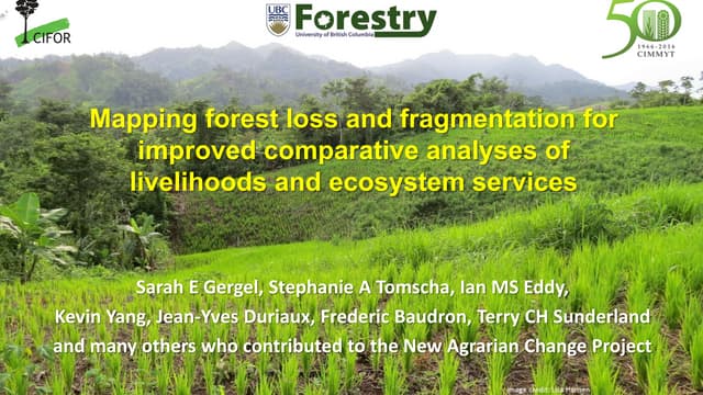 Mapping forest loss and fragmentation for improved comparative analyses of livelihoods and ecosystem services