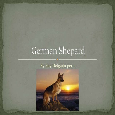 The German Shepherd: A Complete Breed Guide | PPTX