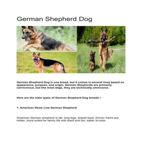 German shepherd | PPTX