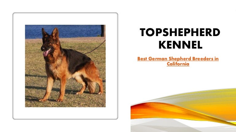 german shepherd kennels