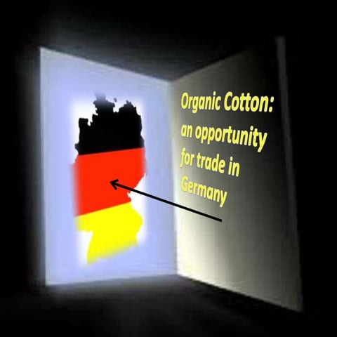 Germany An Oppotunte Environment