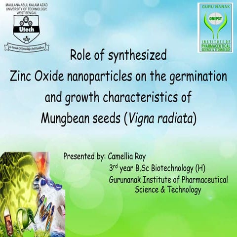 Germinaton of Vigana radiata using  ZnO nanoparticles