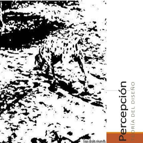 Percepción, teoría Gestald 